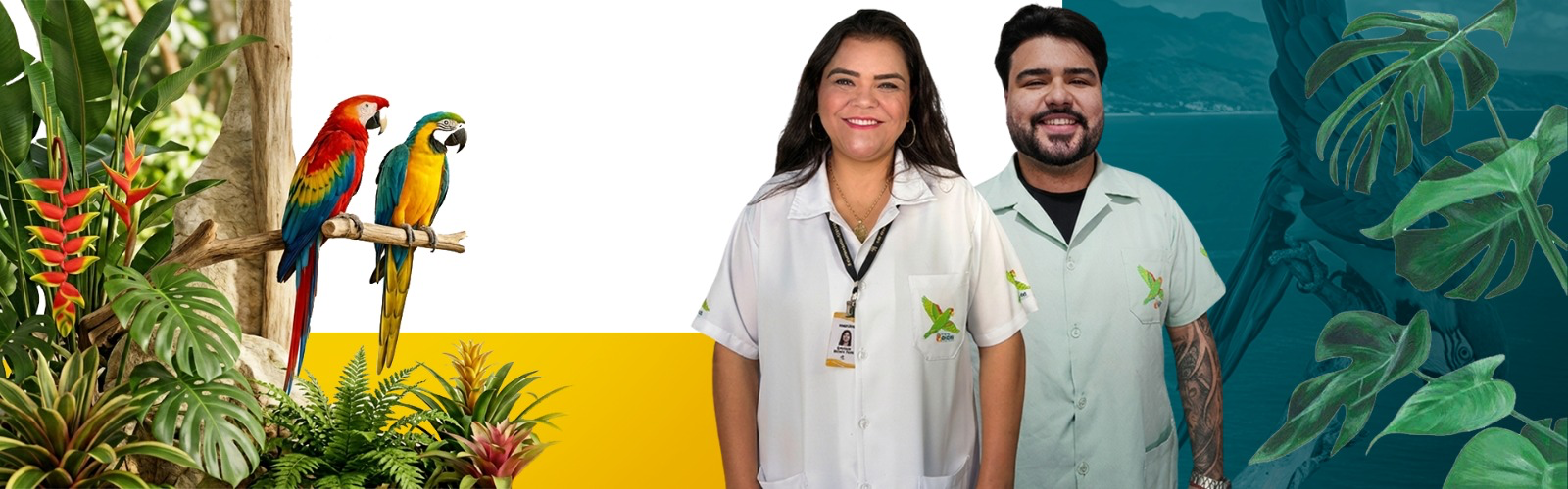 Banner Farmácia Brasil